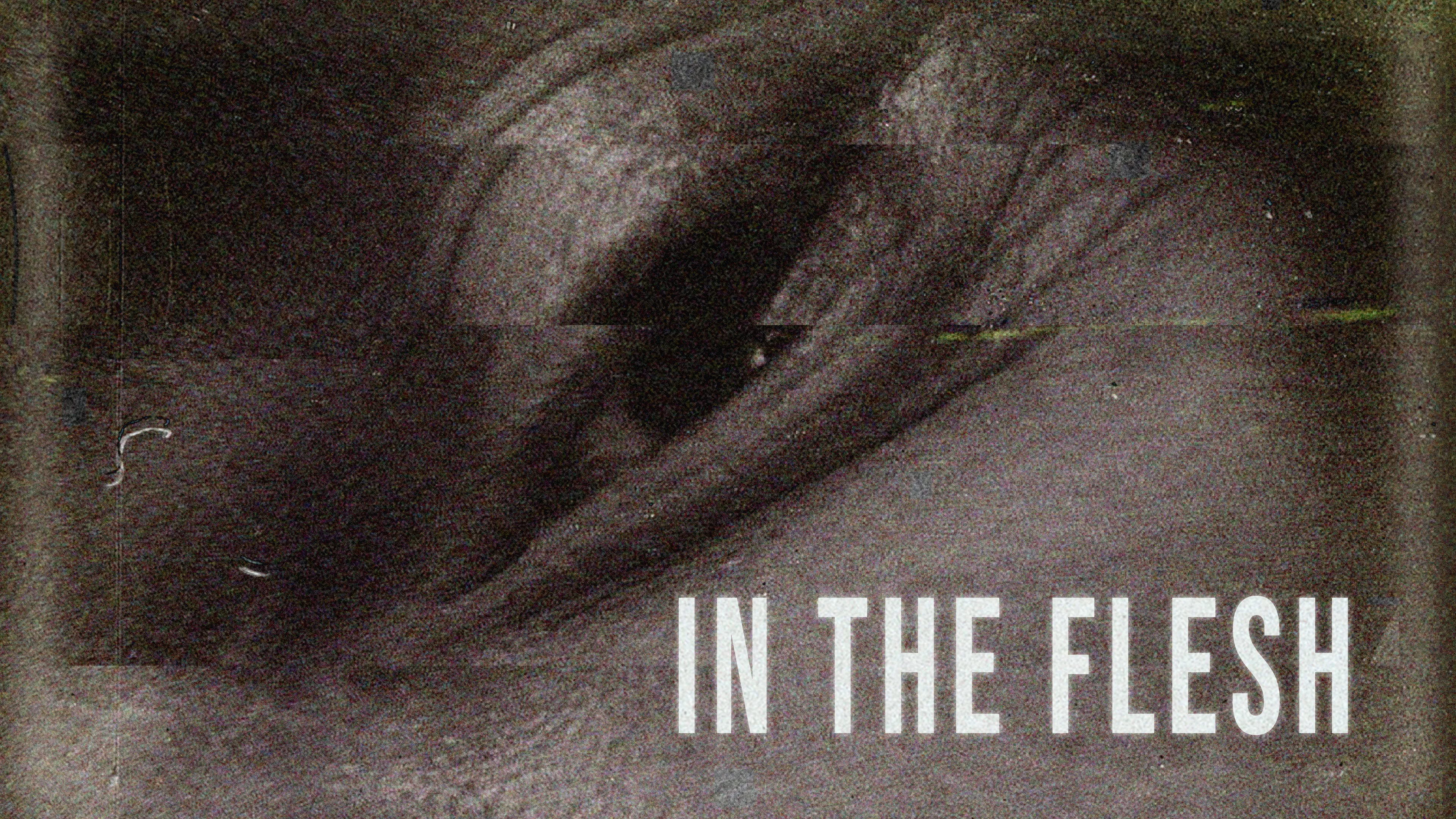 In the Flesh poster